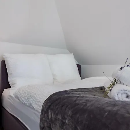 Appartement An Der Universitaet Wuppertal