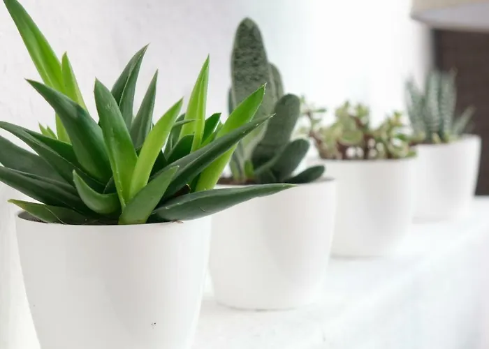 An Der Universitaet *