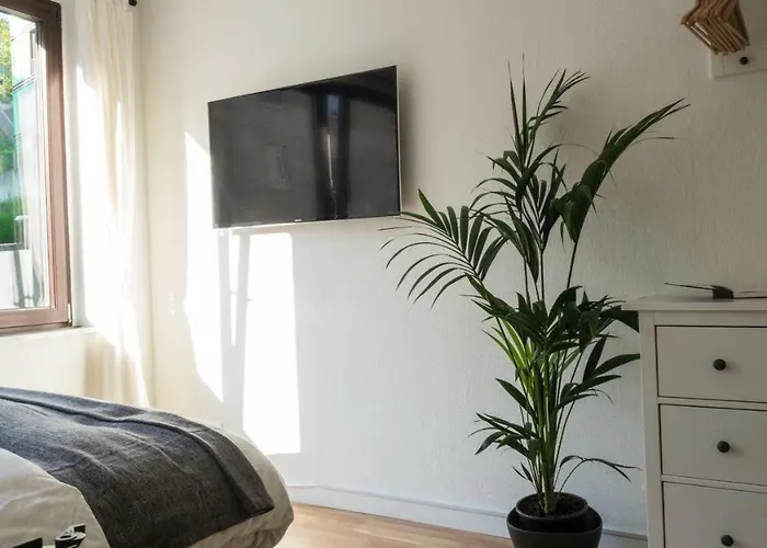 An Der Universität *