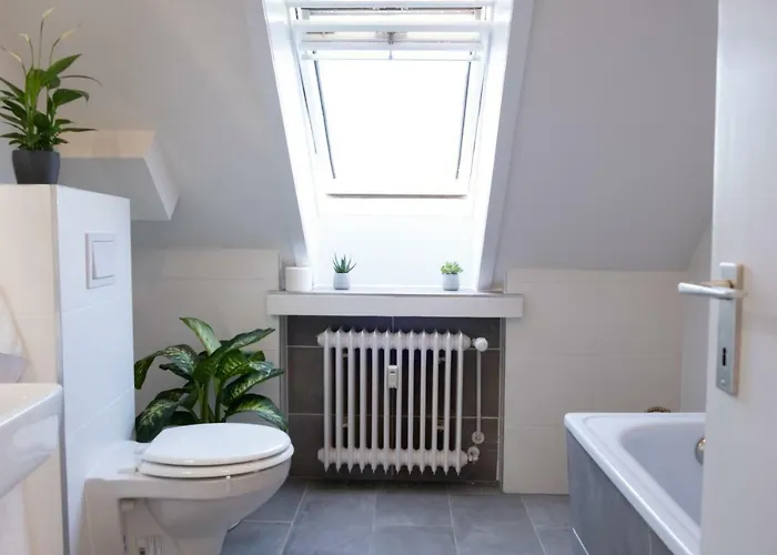 An Der Universitaet *